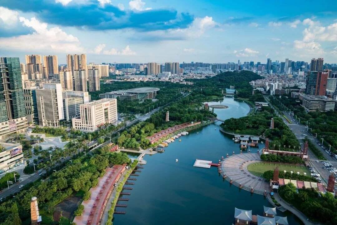 2025年新澳门天天免费精准大全，详细解答、解释与落实